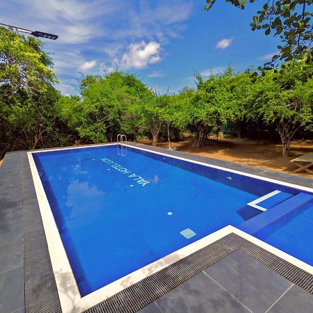 Yala Hotel Lion -Air Conditioned High Luxury Safari Camp Extérieur photo
