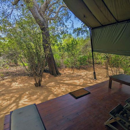 Yala Hotel Lion -Air Conditioned High Luxury Safari Camp Extérieur photo