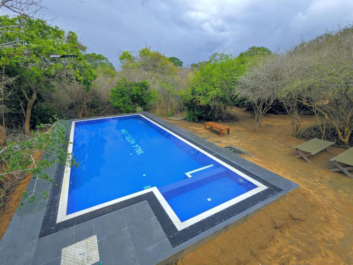 Yala Hotel Lion -Air Conditioned High Luxury Safari Camp Extérieur photo