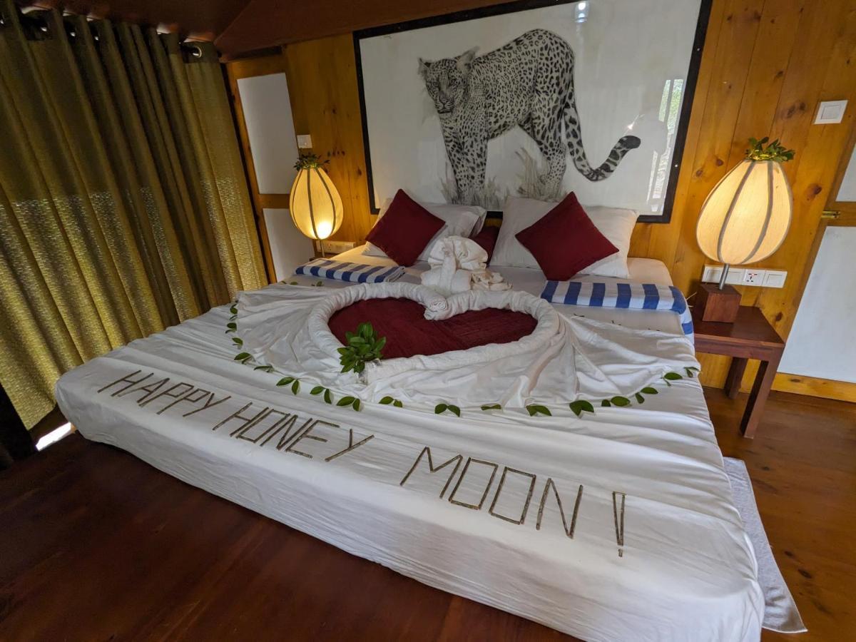 Yala Hotel Lion -Air Conditioned High Luxury Safari Camp Extérieur photo