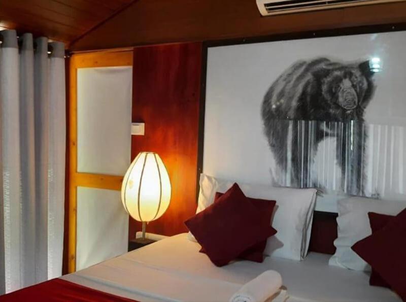 Yala Hotel Lion -Air Conditioned High Luxury Safari Camp Extérieur photo