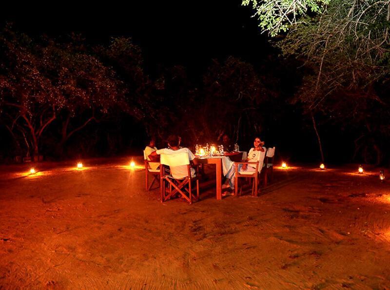 Yala Hotel Lion -Air Conditioned High Luxury Safari Camp Extérieur photo