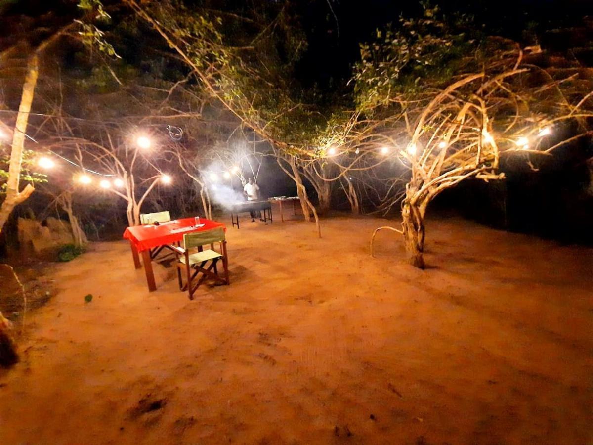 Yala Hotel Lion -Air Conditioned High Luxury Safari Camp Extérieur photo