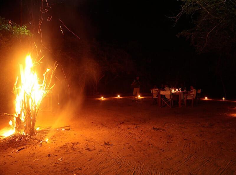Yala Hotel Lion -Air Conditioned High Luxury Safari Camp Extérieur photo