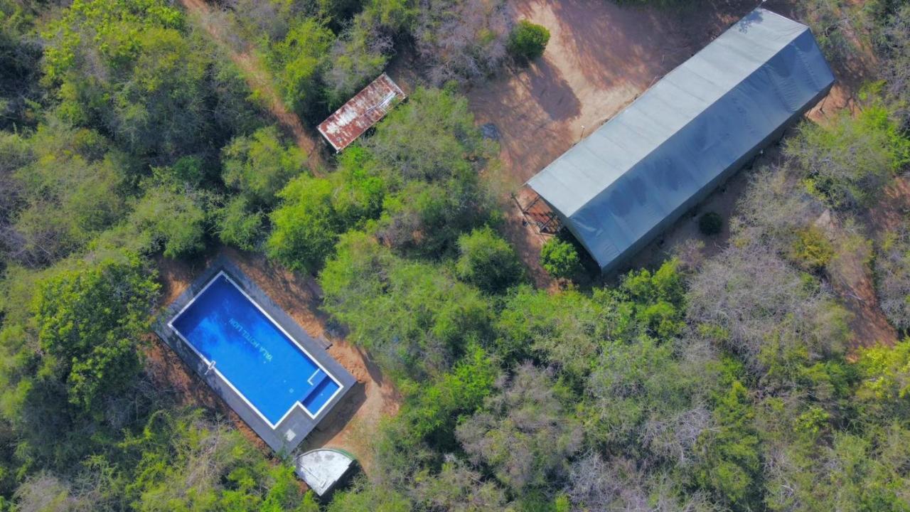 Yala Hotel Lion -Air Conditioned High Luxury Safari Camp Extérieur photo