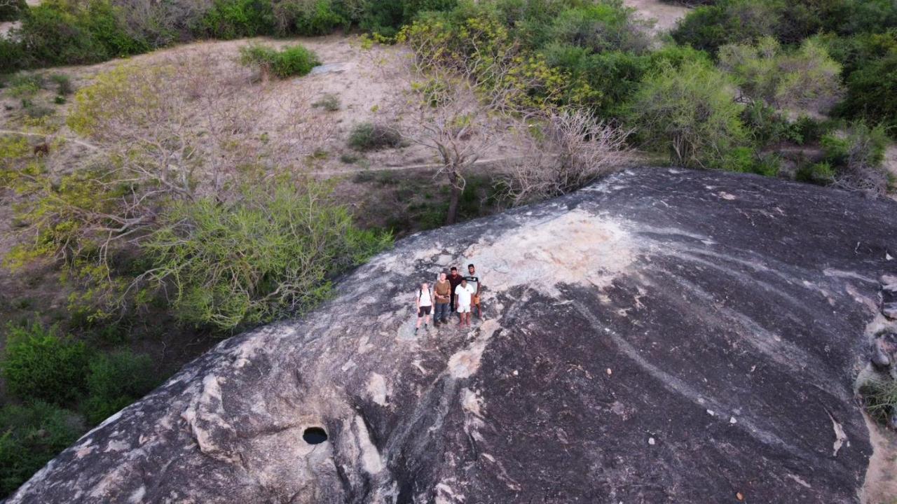 Yala Hotel Lion -Air Conditioned High Luxury Safari Camp Extérieur photo