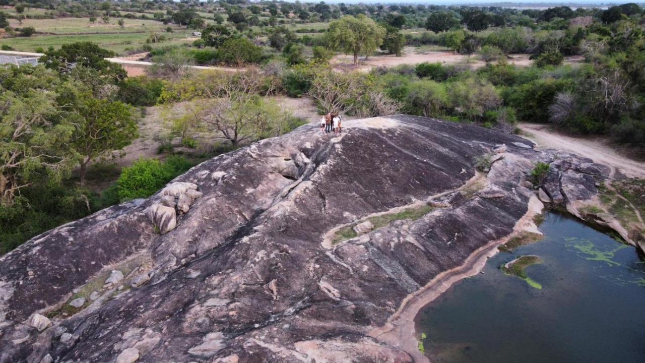 Yala Hotel Lion -Air Conditioned High Luxury Safari Camp Extérieur photo