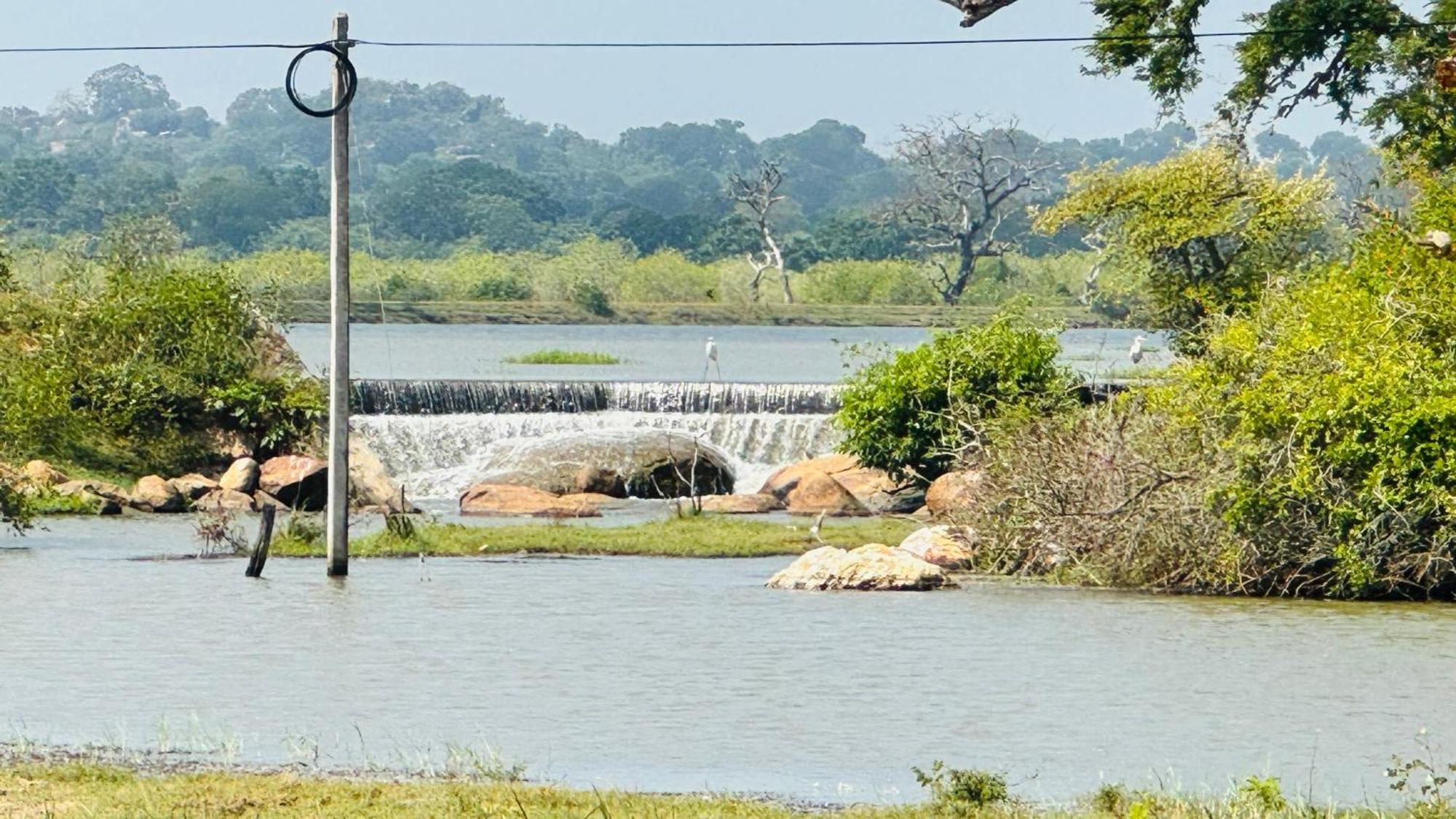 Yala Hotel Lion -Air Conditioned High Luxury Safari Camp Extérieur photo