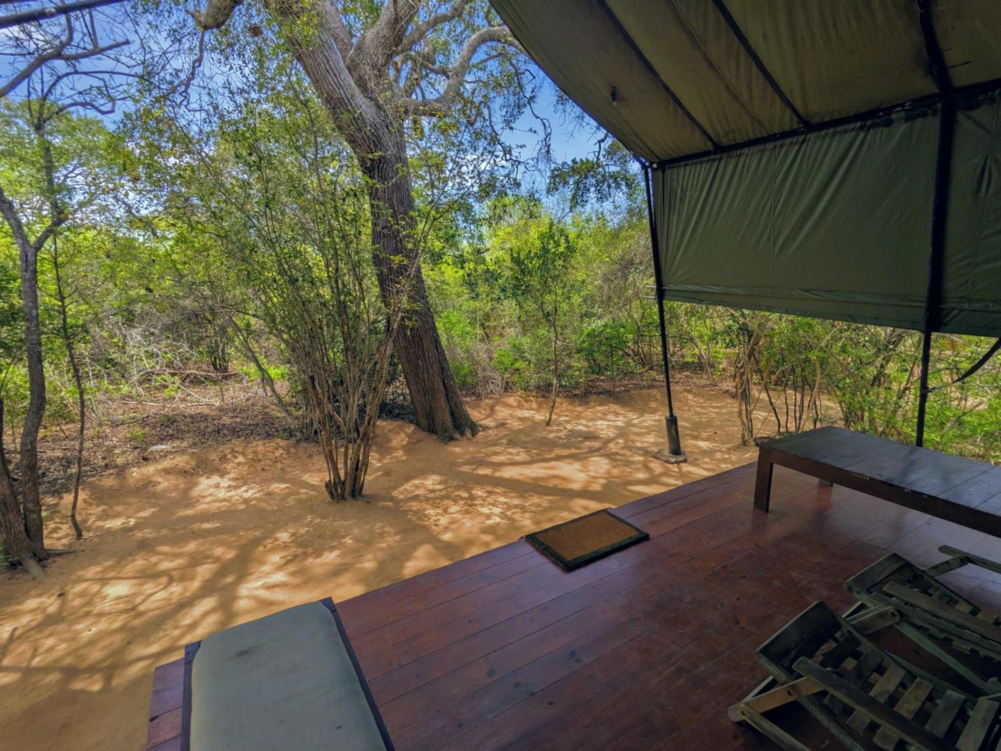 Yala Hotel Lion -Air Conditioned High Luxury Safari Camp Extérieur photo