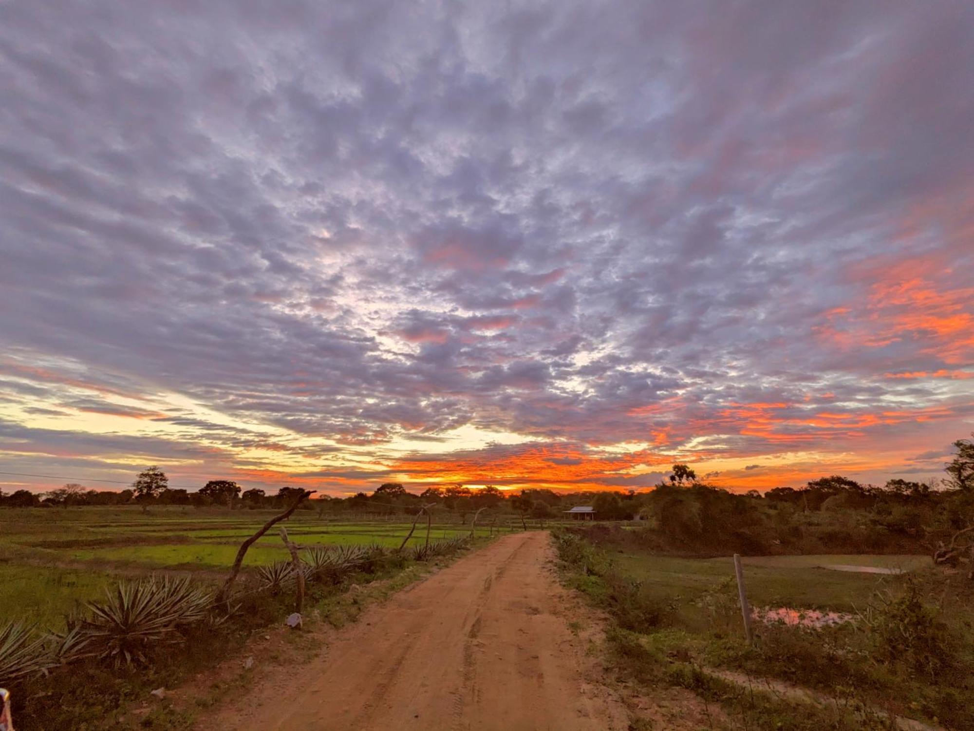 Yala Hotel Lion -Air Conditioned High Luxury Safari Camp Extérieur photo
