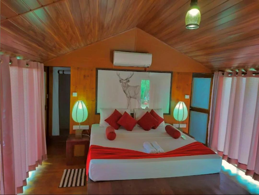 Yala Hotel Lion -Air Conditioned High Luxury Safari Camp Extérieur photo